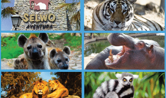 Estepona Jungle Experience