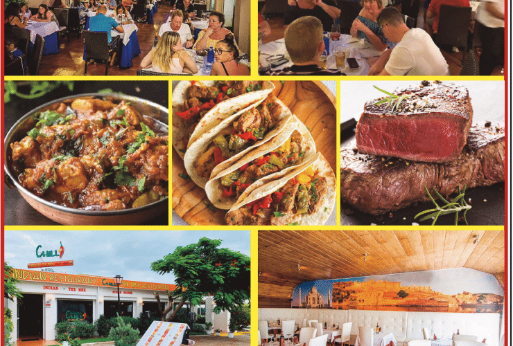 Indian food in Estepona from Restaurant Chilli