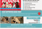 ADANA - dog rescue centre in Malaga