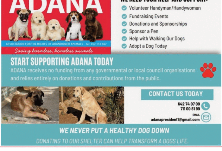 ADANA - dog rescue centre in Malaga